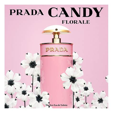 candy prada günstig|sephora Prada Candy.